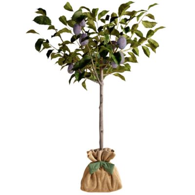 Arbre à offrir Prunier Quetsche d'Alsace - Authenticité et Fidélité