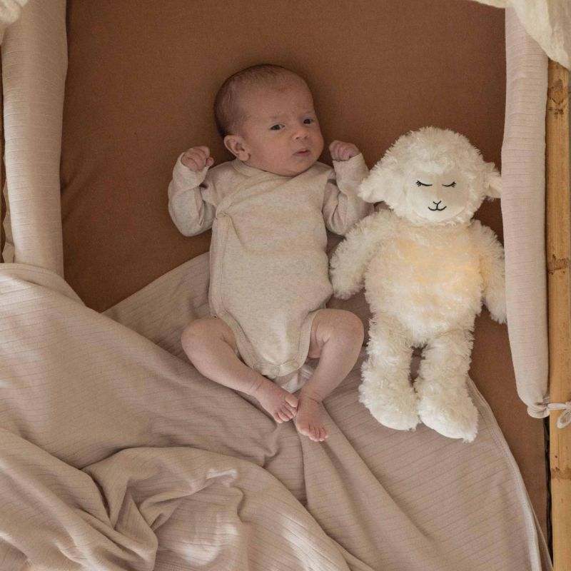 Lot de 2 bodies Ourson (1 mois) Trois Kilos Sept Ambiance 5