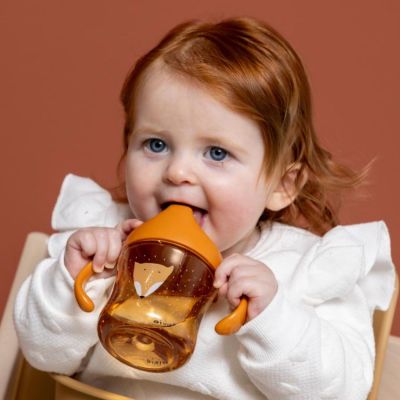 Tasse d'apprentissage avec poignées Mr. Fox