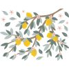 Stickers muraux Citrons sur branche (64 x 48 cm) - Lilipinso