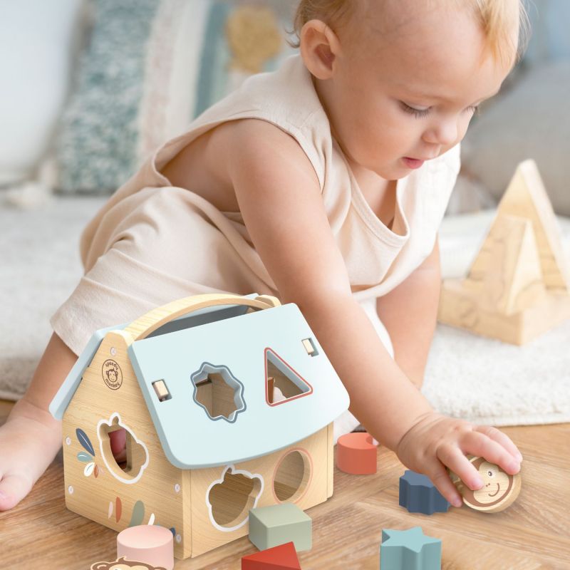 Maison des formes (8 blocs) Speedy Monkey Ambiance 2