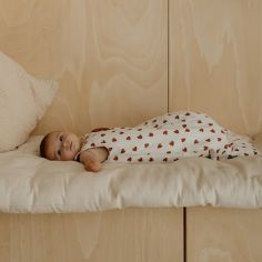 Gigoteuse réversible 4 saisons terra-coeurs 0-6 mois