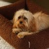 Lit douillet pour animaux M Warm Hazel Wigiwama Ambiance 2
