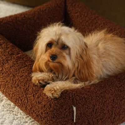 Lit douillet pour animaux M Warm Hazel