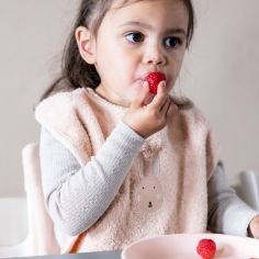 Lot de 2 bavoirs XL Rabbit