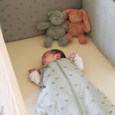 Gigoteuse manches amovibles TOG 2,5 Honey Argile (0-6 mois)