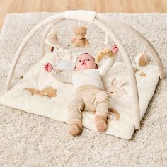 Tapis d'éveil avec arches Teddy (80 x 70 cm)