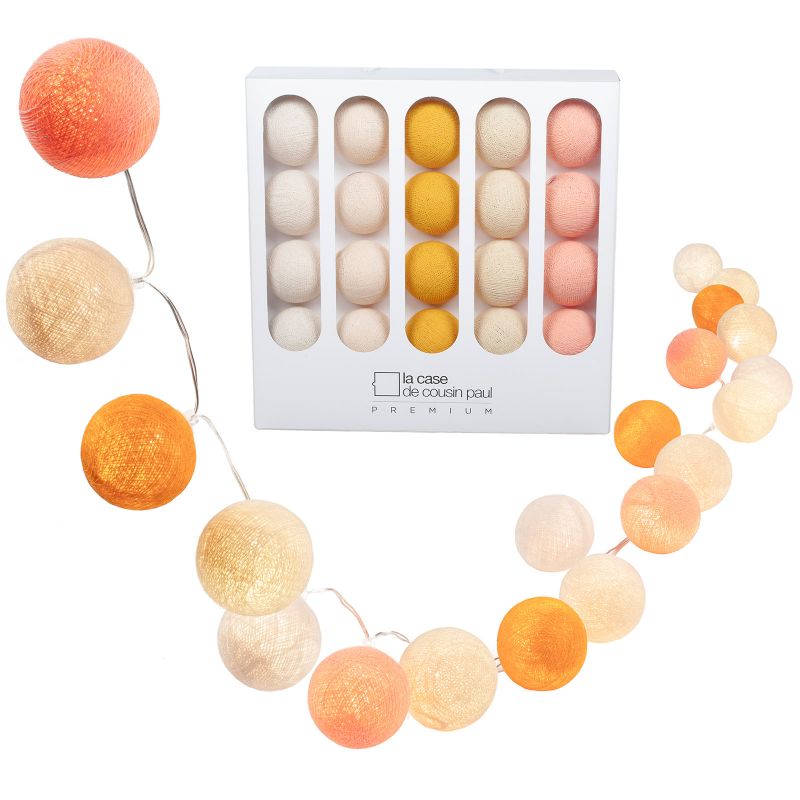 Coffret guirlande lumineuse à LED clipsable Premium Scott La case de cousin paul