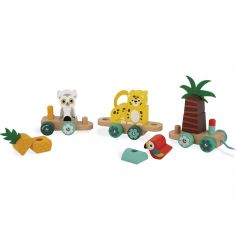 Train d'activités à tirer Tropik