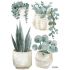 Stickers Greenery plantes et pots (29,7 x 42 cm) - Lilipinso