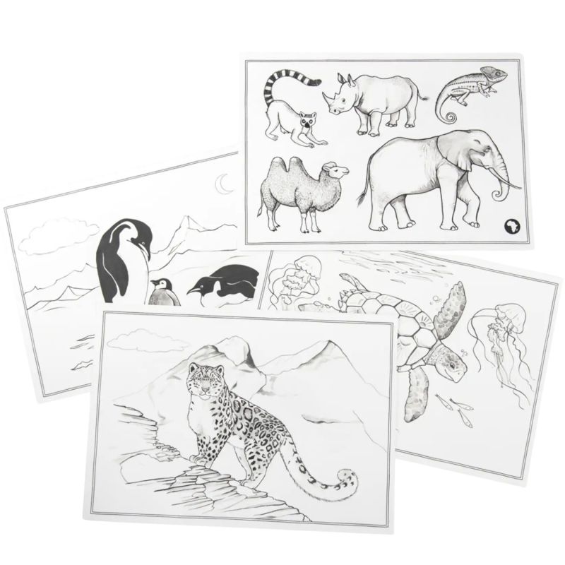 24 modèles de dessin pour tablette lumineuse Kidywolf Tout autour du monde Moulin Roty Produit 3