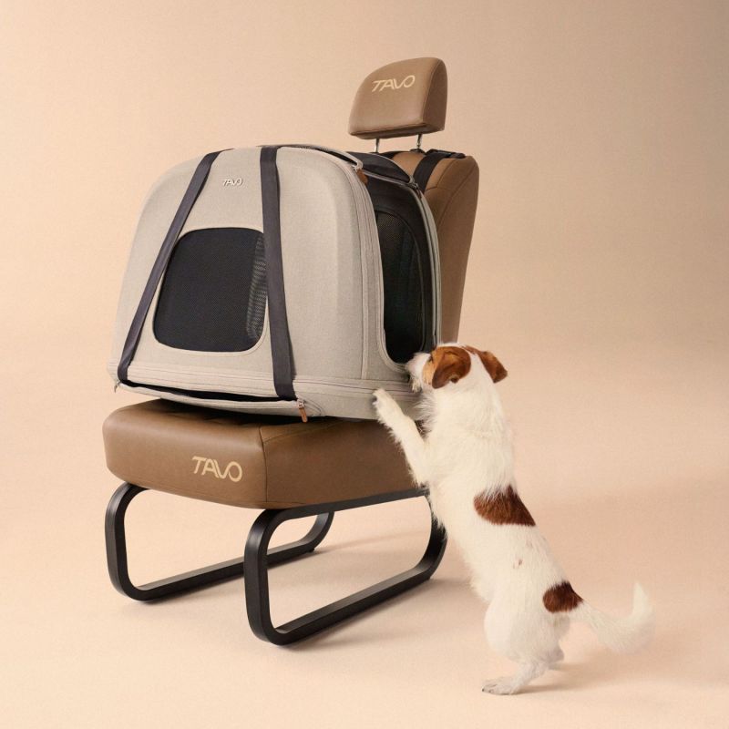 Caisse de transport pour animaux de compagnie CRISPIN M MERLE (jusqu'à 24,9 kg) Tavo Ambiance 8