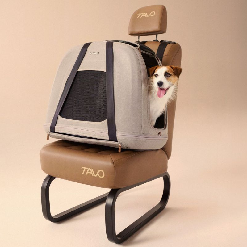 Caisse de transport pour animaux de compagnie CRISPIN M MERLE (jusqu'à 24,9 kg) Tavo Ambiance 9