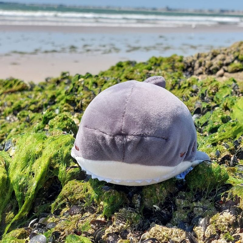 Porte-clé peluche Nemu Nemu Zap le Requin (16 cm) Trousselier Ambiance 7