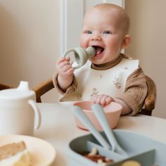 Lot de 2 sucettes grignoteuses en silicone Cambridge blue