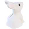 Tirelire Lapin  par Egmont Toys