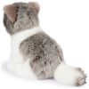 Peluche Amélie le Scottisch Fold (17 cm) BT Chaps Produit 3