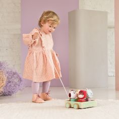 Voiture à formes à tirer Louis