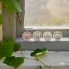 Lot de 2 sucettes Binky Garden Leo Toile (3 mois et +) Elodie Details Ambiance 7