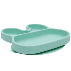 Assiette Pour Les Premiers Repas De Bebe Berceau Magique