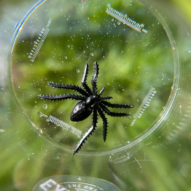 Méga boîte loupe Découverte du Monde Trousselier Ambiance 3