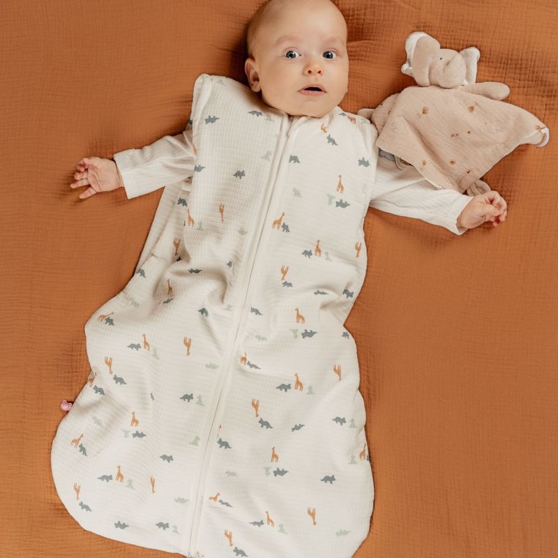 Gigoteuse jersey froissé Funny Dino TOG 1.0 - 2.0 (50 cm) Noukie's Ambiance 3