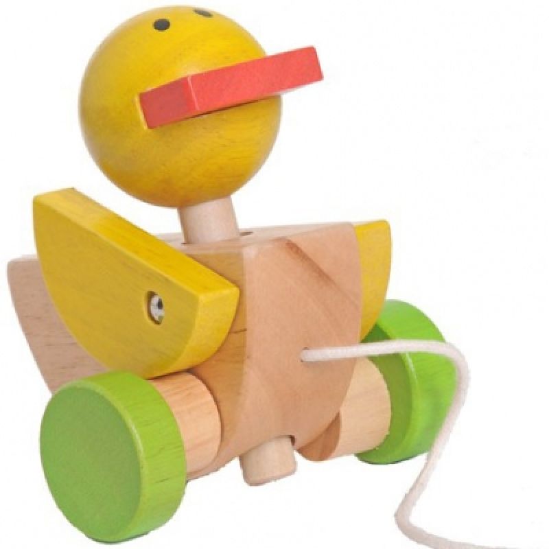 Canard à tirer EverEarth