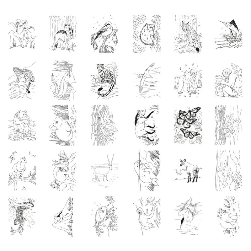 Tablette lumineuse avec dessins à décalquer KIDYDRAW Animals (8 ans et+) KIDYWOLF Produit 5