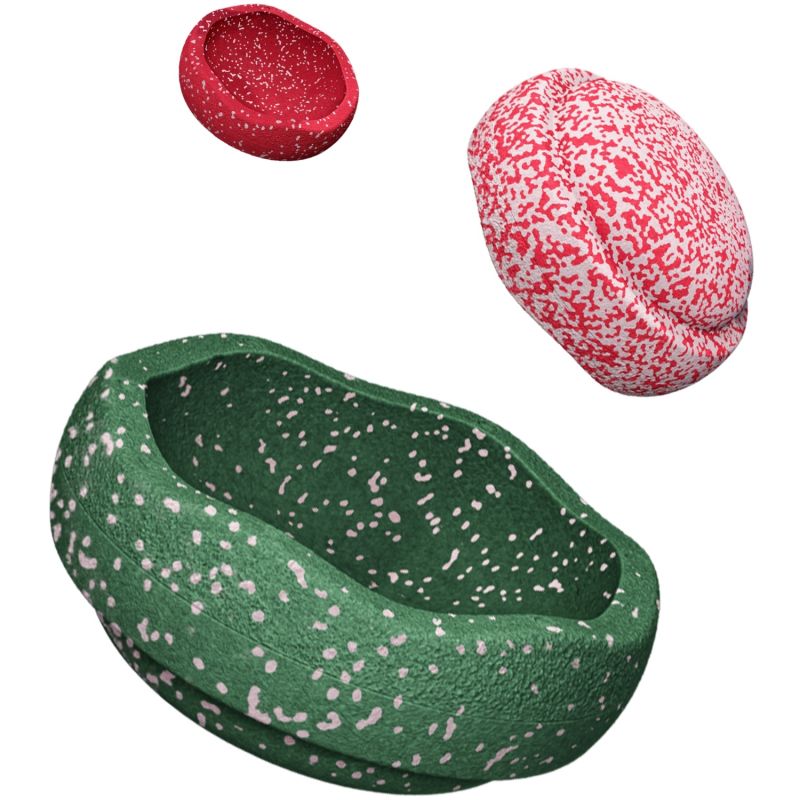Jeu de motricité Blush Special Trilogy Set Stapelstein Produit 1