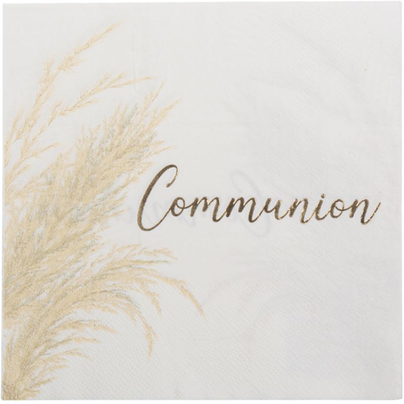 Lot de 16 serviettes en papier Communion Jolie pampa Arty Fêtes Factory