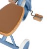 Tricycle évolutif Trike Blue Banwood Produit 8
