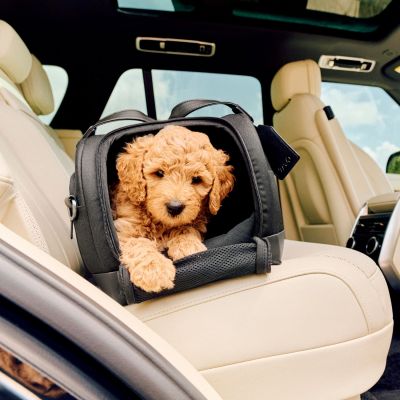 Sac de transport pour avion et siège auto pour animaux de compagnie DUPREE II ONYX