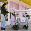 Chariot de transport enfant L2 Gray (2 places) Wonderfold Ambiance 2
