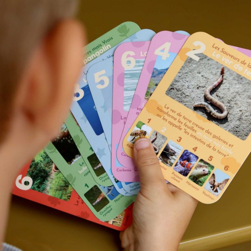 Jeu de 7 familles Animaux Rigolos Observe Édition Ambiance 2