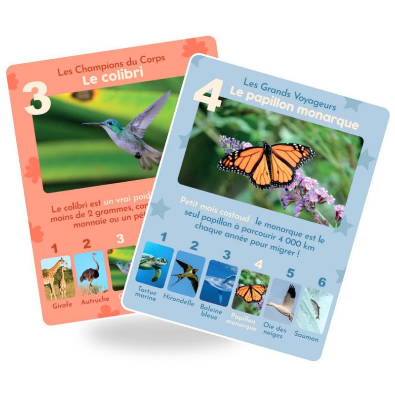 Jeu de 7 familles Animaux Rigolos Observe Édition Produit 3