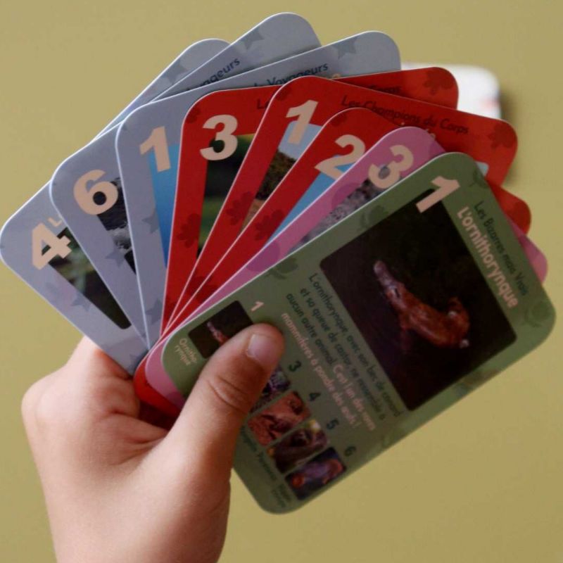 Jeu de 7 familles Animaux Rigolos Observe Édition Ambiance 7