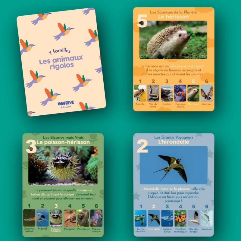 Jeu de 7 familles Animaux Rigolos Observe Édition Produit 9