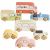Variation Multicolore du produit Set de 7 voitures rétro en bois FSC de la marque Le Toy Van