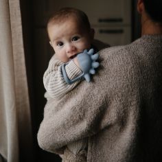 Jouet de dentition en silicone Dino tradewinds