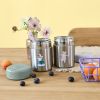 Thermos repas Tiny Team Chien (0,315 L) Lässig Ambiance 2