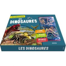 Coffret éducatif A la découverte des dinosaures  par Auzou Editions