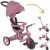 Variation Rose, noir du produit Tricycle Trike Explorer 4 en 1 eco-logic Framboise de la marque Globber