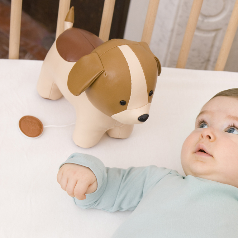 Adrien le Chien musical (Little Big Friends) - Couverture