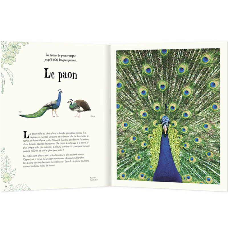 Livre L'anthologie illustrée des animaux fascinants (Auzou Editions) - Image 1