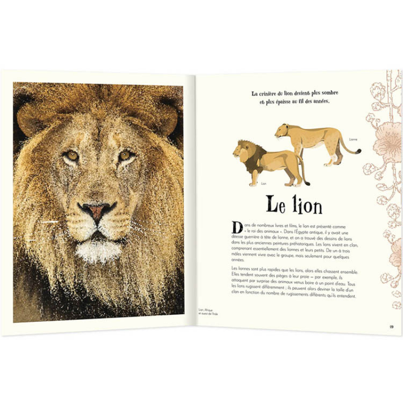 Livre L'anthologie illustrée des animaux fascinants (Auzou Editions) - Image 2