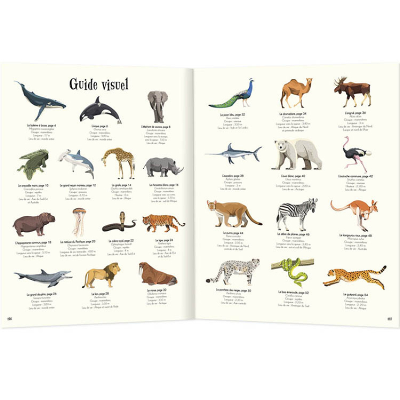 Livre L'anthologie illustrée des animaux fascinants (Auzou Editions) - Image 4