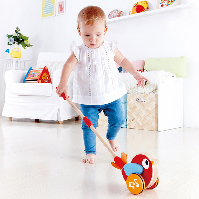 Oisillon Lilly à pousser (Hape) - Couverture