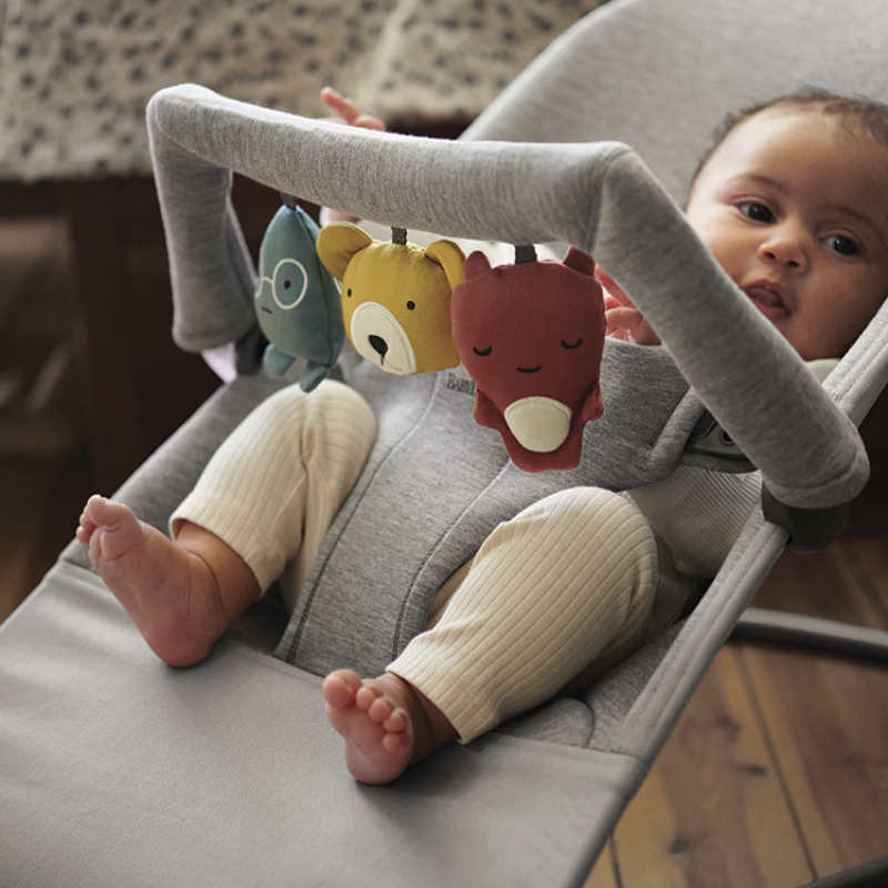 BabyBjörn - Arche pour transat Amis Doux (BabyBjörn) - Couverture